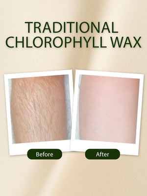 Traditional Chlorophyll Wax - Golden Girl Cosmetics